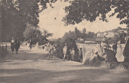 11472-TORINO-PARCO DEL VALENTINO-ANIMATA-1924-FP - Parchi & Giardini