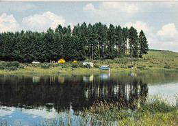 BUTGENBACH - Le Lac - Der See - Butgenbach - Butgenbach