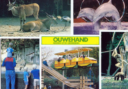 Ouwehands Dierenpark, NL - Eland, Dolphin, Wolf, Gibbon - Rhenen