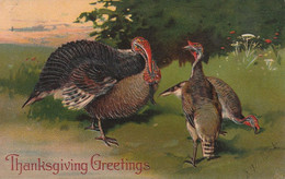 Thanksgiving Greetings - Giorno Del Ringraziamento