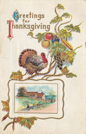 Greetings For Thanksgiving - Giorno Del Ringraziamento