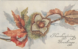 Thanksgiving Greetings - Giorno Del Ringraziamento