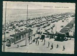 CLE224 - SENIGALLIA SPIAGGIA DI LEVANTE ANIMATISSIMA CAMION 1950 CIRCA - Senigallia