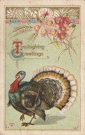 Thanksgiving Greetings  Crease - Thanksgiving