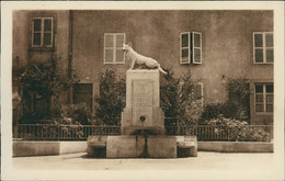 54 CIREY SUR VEZOUZE / Fontaine Du Loup / - Cirey Sur Vezouze