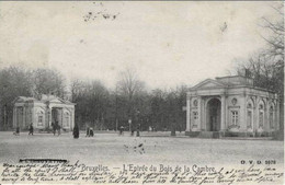 BRUXELLES - Entrée Du Bois De La Cambre - Oblitération De 1903 - D. V. D. 9678 - Bossen, Parken, Tuinen