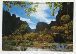 AK 086471 USA - Utah - Zion National Park - Zion