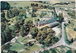 L'HIRONDELLE -OTEPPE  VUE ARIENNE  CHATEAU ET PARC - Burdinne