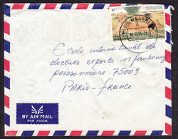 Ca0213 ZAIRE 1984,  Virunga Park, Lion On Lubumbashi Cover To France - Cartas & Documentos