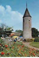 L'HIRONDELLE -OTEPPE  TOUR DU CHATEAU - Burdinne