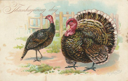 Raphael Tuck & Sons' "Thanksgiving Day Post Cards" Thanksgiving Day - Thanksgiving