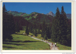 FLUMSERBERG  -  Weg Nach Seebenalp, Nice Stamp - Flums