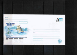 Russia 2014 Olympic Games Sochi Biathlon Interesting Postal Stationery Letter - Hiver 2014: Sotchi