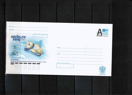 Russia 2014 Olympic Games Sochi Sledding Interesting Postal Stationery Letter - Inverno 2014: Sotchi