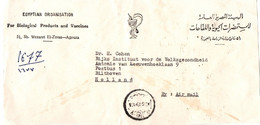 Egyptian Organisation For Biological & Vaccines 1979 - Serpent Snake Vaccin Seringue - Health Santé - !! Devant De Lettr - Cartas & Documentos