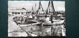 83 , Les Salins D'hyères ,le Port Et Ses Bateaux De Pêche En 1961 - Sonstige & Ohne Zuordnung
