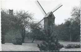 Tongerlo - Tongerloo - Oude Windmolen - Westerlo