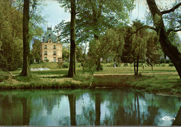 91 CHILLY MAZARIN LE CHATEAU A TRAVERS LE PARC - Chilly Mazarin