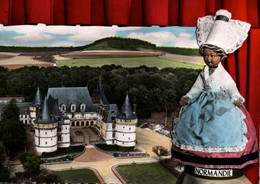 CPSM - MESNIÈRES-en-BRAY - Le Château Vues Aériennes... LOT 2 CP à Saisir - Mesnières-en-Bray