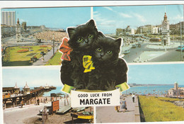 MARGATE MULTI VIEW . BLACK CATS - Margate
