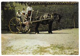 Castelnau Le Lez, Groupe Folklorique "lou Roc De Substancioun" Départ Pour La Fête (A13p63) - Castelnau Le Lez