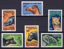 Haute Volta 1984, Animals, Camels, Hippo, Elephant, Panther, 6val - Haute-Volta (1958-1984)