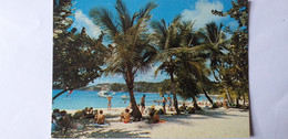 CPA - LA GUADELOUPE - SAINT BARTHELEMY - SOUS LES COCOTIERS - Saint Barthelemy