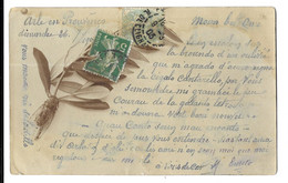 Cpa Provençale 1902, Rameau D'olivier Et Cigale, écrite En Patois Provençal (A13p65) - Provence-Alpes-Côte D'Azur