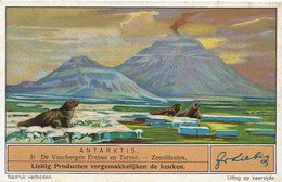 Chromo Antarctique Volcan Erebus Erebus Volcano Morse Elephant De Mer - TAAF : Franse Zuidpoolgewesten