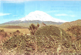 Ecuador Chimborazo ... W060 Used - Equateur