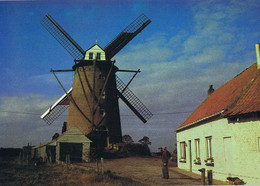 59 - Steenvoorde (Nord) - Le Moulin De Terdeghem - Steenvoorde