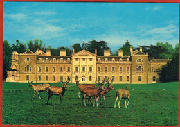 England, Woburn Abbey And Herd Of Père David Deers. - Andere & Zonder Classificatie