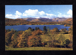 Angleterre - Windermere And The Langdale Pikes From Low Wood WESTMORLAND ( Published By N° LD 1705) - Windermere