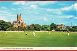 England, Worcester, Cattedrale E Campo Di Cricket. - Worcester