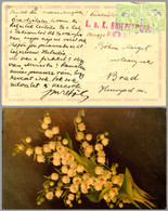 ARAD : CARTE POSTALE - CENSURE AUTRICHIENNE - K. U. K. / POSTCARD MAILED - AUSTRIAN CENSORSHIP - K. U. K. ~ 1915 (ak611) - 1ste Wereldoorlog (Brieven)