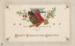 Hearty Thanksgiving Greetings - Giorno Del Ringraziamento