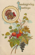 Thanksgiving Greetings - Giorno Del Ringraziamento