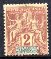 Nouvelle Caledonie: Yvert N° 42(*) - Otros & Sin Clasificación