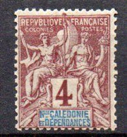 Nouvelle Caledonie: Yvert N° 43* - Otros & Sin Clasificación