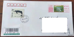 China Covers，"Protect The Yangtze River And Protect The Finless Porpoise" (Yangzhou) First Day Real Mail - Buste