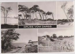 Darss 1984; Die Besten Grüsse, Mehrbildkarte - Gelaufen. (Bild Und Heimat - Reichenbach) 10x15! - Fischland/Darss