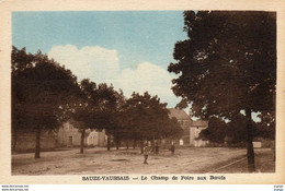 SAUZE-VAUSSAIS  Le Champ De Foire Aux Boeufs. Très Bon état - Sauze Vaussais