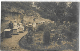 37  LUYNES  CARTE PHOTO  MON  RUCHER  DU  CHENE   VERT LUYNES  G.  FOUQUET - Luynes