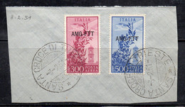 488 490 (EML) - TRIESTE A  , Posta Aerea N. 24 + 25 Su Bel Frammento 3.2.1951 - Posta Aerea