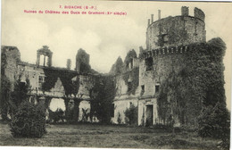 CPA BIDACHE Ruines De Chateau Des Ducs De Gramont (XI.siecle (171979) - Bidache