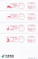 China  Postage Machine Stamp，2020 Stamp "Hoh Xil Wildlife Qinghai Golmud Tibetan Antelope White Lipped Deer" - Buste