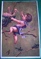 Chromo XIX° PETIT ENFANT ET NID DE FLAMANTS ROSES  CHERUB . FLAMINGO NEST  VICTORIAN CARD - Enfants