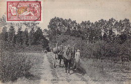 CPA - 95 - FRANCONVILLE - Dans Les Vergers - Cheval - Charette - Franconville