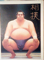 JAPAN - SUMO / WRESTLING - NATIONAL SPORT ILLUSTRATA  BY STEVE GULBIS VB1991 IY3663 - Worstelen