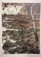 Gravure Signée Au Crayon De Louis Raemaekers Guerre WWI Carton Fort - Dokumente